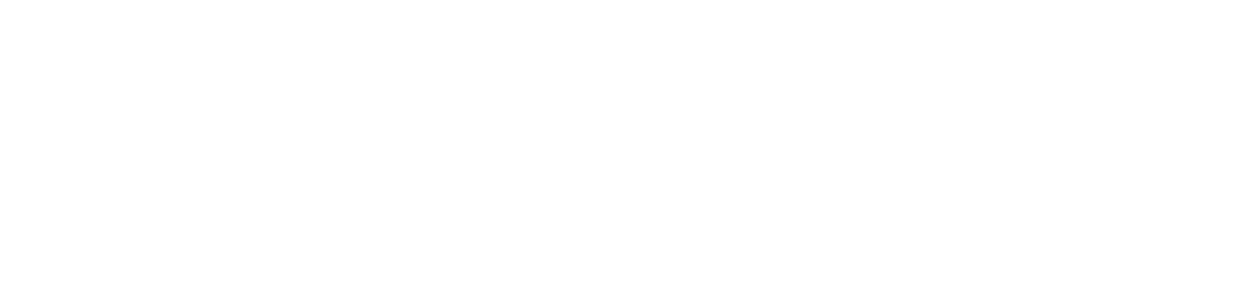 Logo BCoach Việt Nam